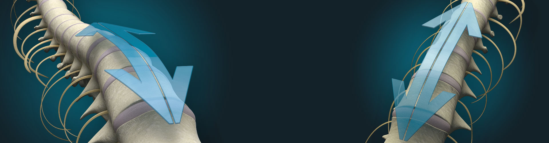 Spinal Decompression Therapy Lewes